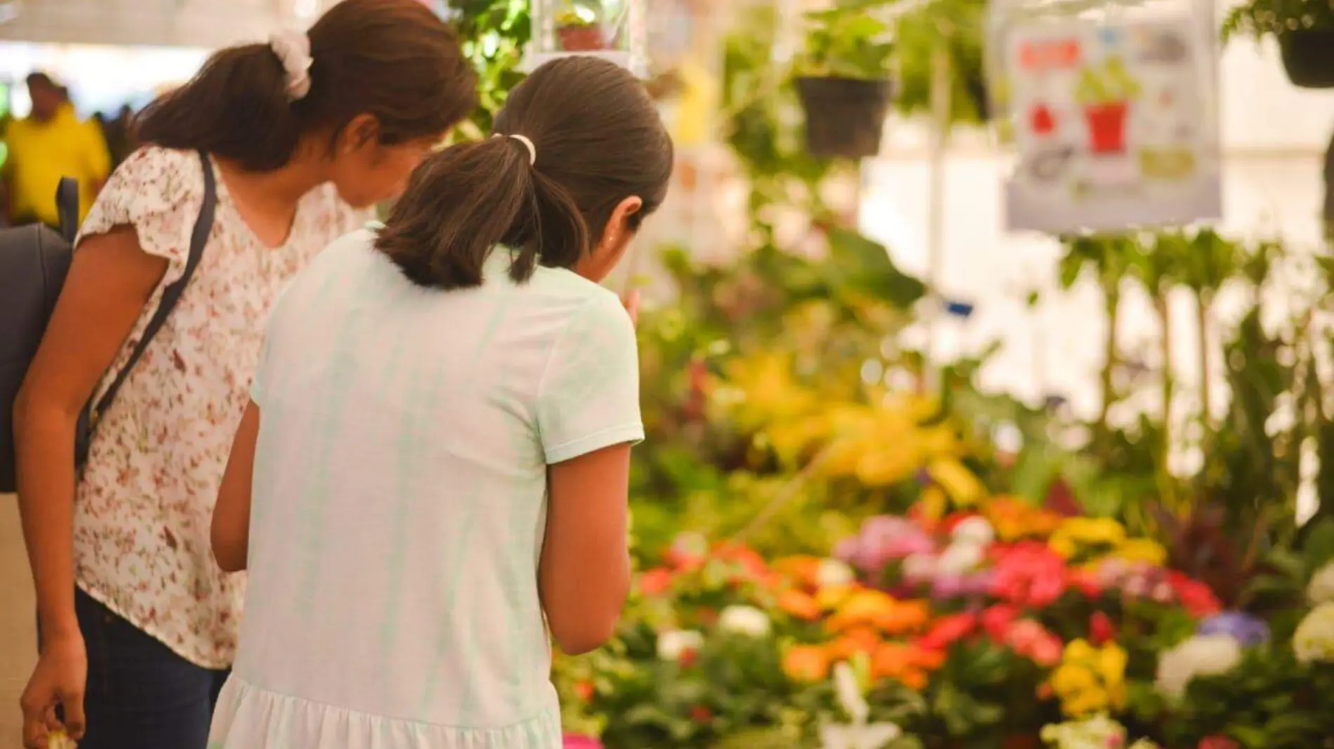 clausura Festival de las Flores